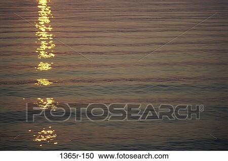 water, sunlight, nature, reflected, reflect, Water various View Large Photo Image Stock Image - water, sunlight, nature, reflected, reflect, Water various. Fotosearch