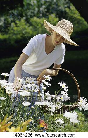 woman, hat, gardening, basket, outdoors, garden, picking View Large Photo Image Stock Photograph - woman, hat, gardening, basket, outdoors, garden, picking. Fotosearch