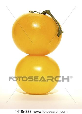 Yellow Tomatoes View Large Photo Image Stock Image - Yellow Tomatoes. Fotosearch