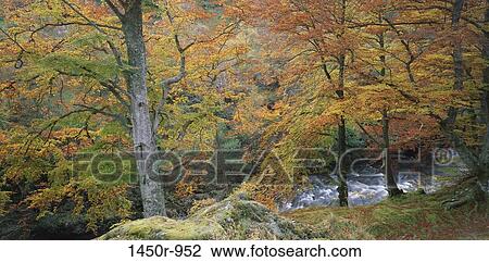 Stock Image - Aberfeldy, Scotland. Fotosearch