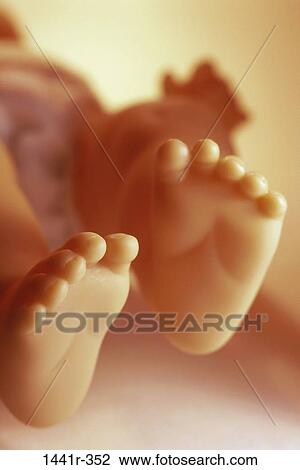 baby, doll, feet, still life, toy, toes View Large Photo Image Stock Image - baby, doll, feet, still life, toy, toes. Fotosearch