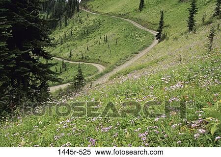 British Columbia, Canada View Large Photo Image Stock Photography - British Columbia, Canada. Fotosearch