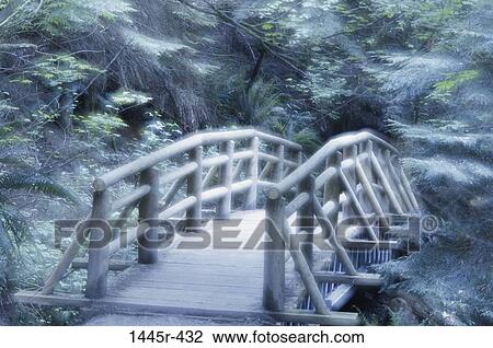 Capilano Pacific Park, British Columbia, Canada View Large Photo Image Stock Image - Capilano Pacific Park, British Columbia, Canada. Fotosearch