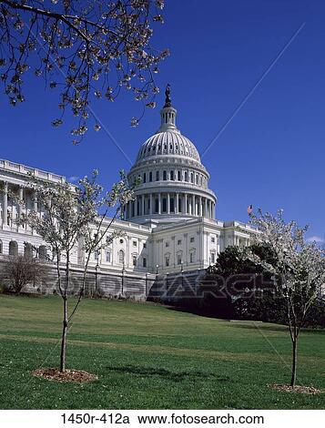 Capitol Building, Washington, D. C., USA View Large Photo Image Stock Image - Capitol Building, Washington, D. C., USA. Fotosearch