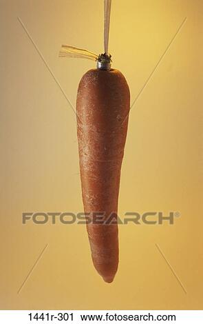 carrot, still life, metaphor, persuasion, reward, Still lifes concept View Large Photo Image Stock Image - carrot, still life, metaphor, persuasion, reward, Still lifes concept. Fotosearch