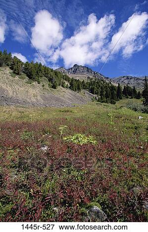 Chilcotin Mountains, British Columbia, Canada View Large Photo Image Stock Photo - Chilcotin Mountains, British Columbia, Canada. Fotosearch