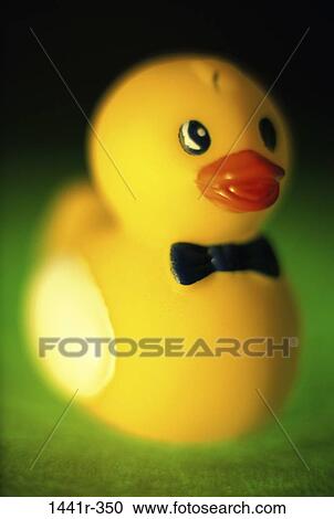 duck, still life, toy, bow tie, rubber duck, rubber View Large Photo Image Stock Image - duck, still life, toy, bow tie, rubber duck, rubber. Fotosearch