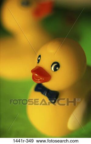 duck, still life, toy, rubber duck, rubber, rubber ducky View Large Photo Image Stock Photo - duck, still life, toy, rubber duck, rubber, rubber ducky. Fotosearch