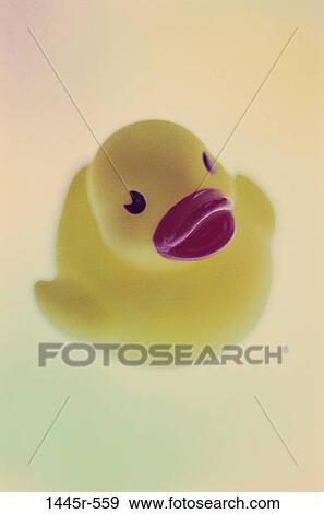 duck, still life, toy, soft focus, rubber duck, manipulated View Large Photo Image Stock Photo - duck, still life, toy, soft focus, rubber duck, manipulated. Fotosearch