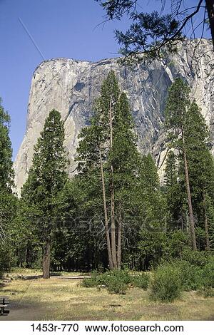 Stock Image - El Capitan, Yosemite Valley, Yosemite National Park, Califonia, USA. Fotosearch