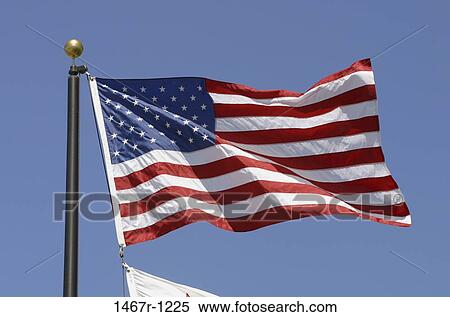 Flag of the United States of America View Large Photo Image Stock Photography - Flag of the United States of America. Fotosearch