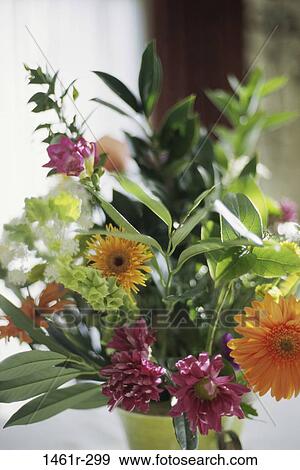 flowers, flower, floral, arrangement, vase, flower arrangement View Large Photo Image Stock Photo - flowers, flower, floral, arrangement, vase, flower arrangement. Fotosearch