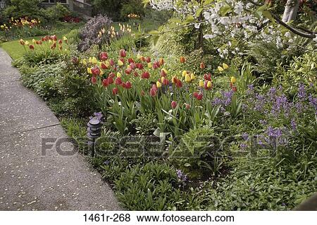 Stock Photo - flowers, nature, garden, foliage, sidewalk, spring. Fotosearch