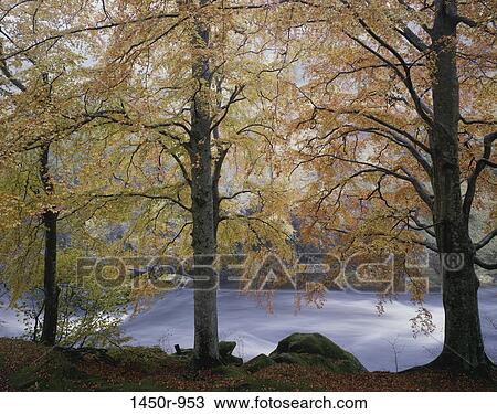 Glen Lyon, Scotland View Large Photo Image Stock Image - Glen Lyon, Scotland. Fotosearch