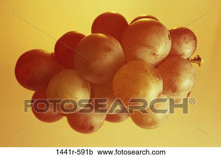grapes, fruit, round, cluster, food, still life, monochromatic View Large Photo Image Stock Image - grapes, fruit, round, cluster, food, still life, monochromatic. Fotosearch
