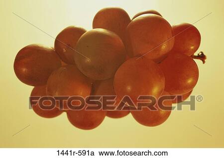 Grapes View Large Photo Image Stock Image - Grapes. Fotosearch