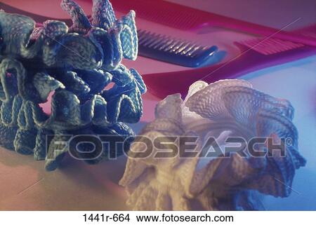 hair, still life, accessories, housewares, combs, Household still lifes View Large Photo Image Picture - hair, still life, accessories, housewares, combs, Household still lifes. Fotosearch