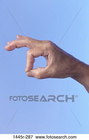 Stock Photo - hand, body parts, close-up, Caucasian, Body parts hands. Fotosearch