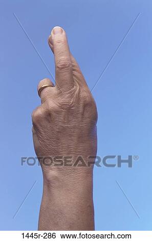 Stock Photograph - hand, body parts, crossed, fingers, ring, close-up. Fotosearch
