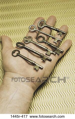 hand, skeleton, palm, choices, holding, still life, old View Large Photo Image Stock Photo - hand, skeleton, palm, choices, holding, still life, old. Fotosearch