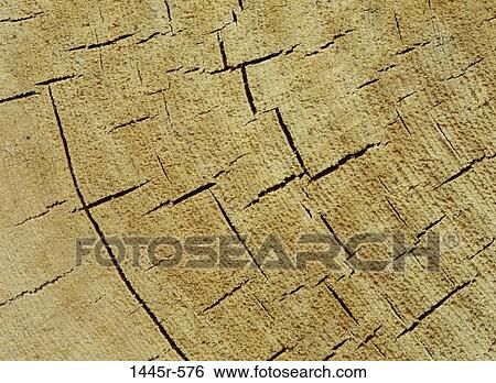 industry, wooden, detail, wood, end, lumber View Large Photo Image Stock Photograph - industry, wooden, detail, wood, end, lumber. Fotosearch