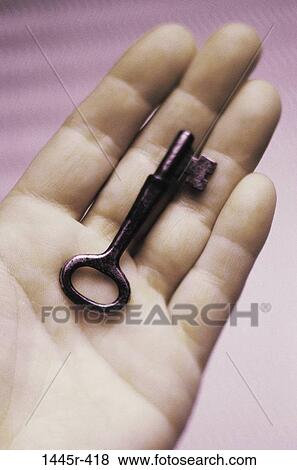 key, hand, skeleton, palm, holding, fingers, still life View Large Photo Image Stock Photo - key, hand, skeleton, palm, holding, fingers, still life. Fotosearch