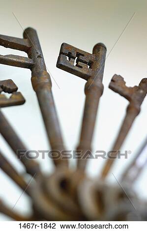 key, skeleton, still life, old, keys, worn View Large Photo Image Stock Image - key, skeleton, still life, old, keys, worn. Fotosearch