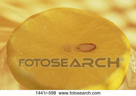 lemon, slice, fruit, food, still life, citrus View Large Photo Image Stock Photo - lemon, slice, fruit, food, still life, citrus. Fotosearch