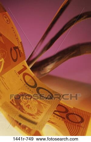 money, finance, still life, currency, financial, Finance paper money View Large Photo Image Stock Photo - money, finance, still life, currency, financial, Finance paper money. Fotosearch