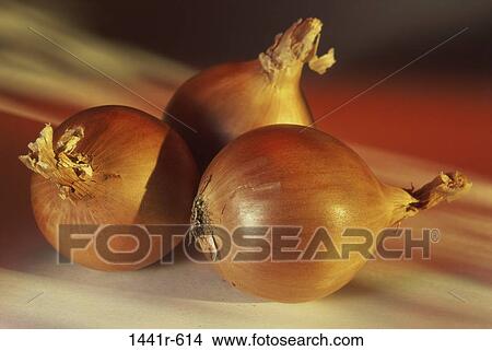 Onions View Large Photo Image Picture - Onions. Fotosearch