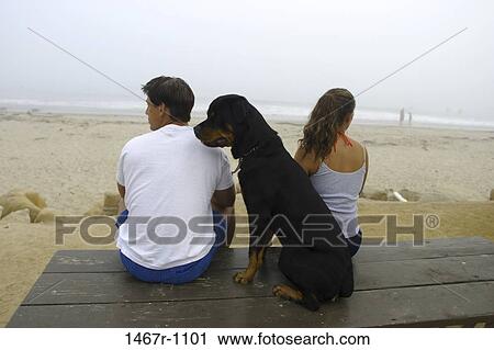 people, dog, couple, sitting, pet, beach View Large Photo Image Stock Image - people, dog, couple, sitting, pet, beach. Fotosearch
