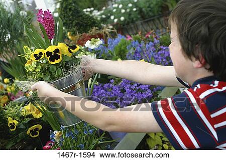 people, flowers, boy, lifting, child, reaching View Large Photo Image Picture - people, flowers, boy, lifting, child, reaching. Fotosearch