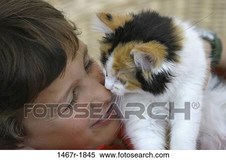 people, kitten, cat, pet, holding, boy View Large Photo Image Stock Photography - people, kitten, cat, pet, holding, boy. Fotosearch