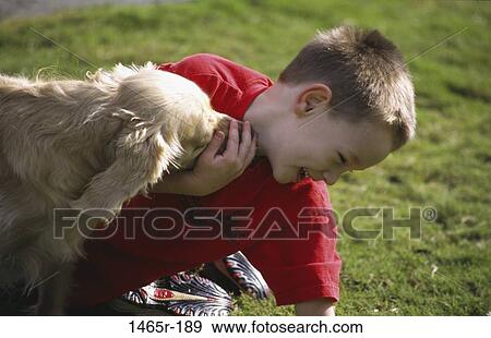 people, playing, dog, licking, happy, pet View Large Photo Image Stock Photo - people, playing, dog, licking, happy, pet. Fotosearch
