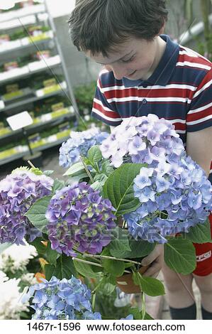 plant, people, choices, holding, flowers, boy, child View Large Photo Image Stock Photograph - plant, people, choices, holding, flowers, boy, child. Fotosearch