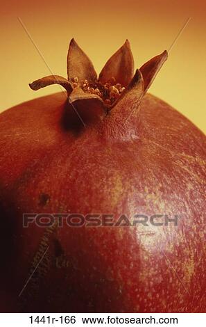 Stock Photograph - Pomegranate. Fotosearch