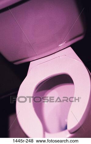 purple, still life, bathroom, monochromatic, restroom, toilet View Large Photo Image Stock Photo - purple, still life, bathroom, monochromatic, restroom, toilet. Fotosearch
