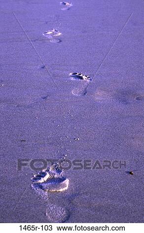 sand, beach, still life, footprints, prints, Beach stills View Large Photo Image Stock Image - sand, beach, still life, footprints, prints, Beach stills. Fotosearch