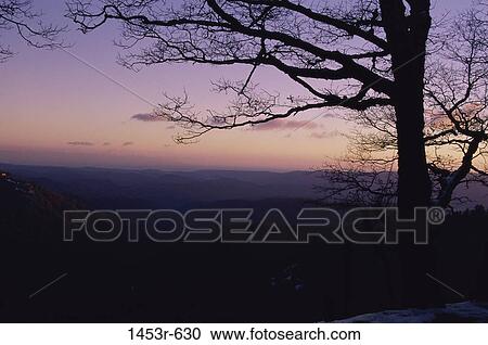 Santa Cruz Mountains, California, USA View Large Photo Image Stock Image - Santa Cruz Mountains, California, USA. Fotosearch
