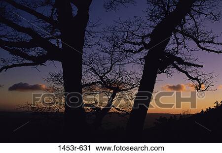 Santa Cruz Mountains, California, USA View Large Photo Image Stock Image - Santa Cruz Mountains, California, USA. Fotosearch