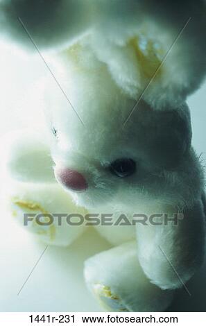 still life, toy, stuffed, bunny, Toys still lifes View Large Photo Image Stock Image - still life, toy, stuffed, bunny, Toys still lifes. Fotosearch