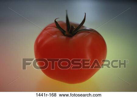 Tomato View Large Photo Image Stock Photo - Tomato. Fotosearch