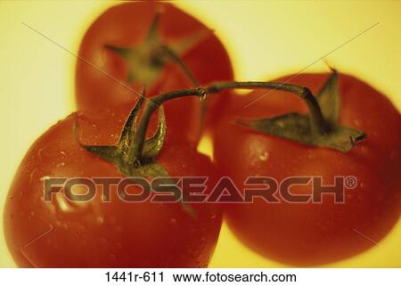 Tomatoes View Large Photo Image Stock Image - Tomatoes. Fotosearch
