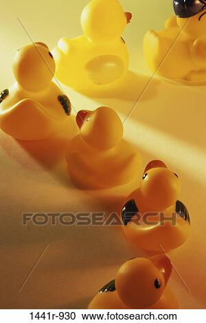 toys, still life, rubber duck, ducks, rubber ducks, rubber ducky View Large Photo Image Stock Image - toys, still life, rubber duck, ducks, rubber ducks, rubber ducky. Fotosearch