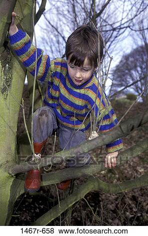 tree, danger, people, playing, climbing, boy, outdoors View Large Photo Image Stock Photo - tree, danger, people, playing, climbing, boy, outdoors. Fotosearch
