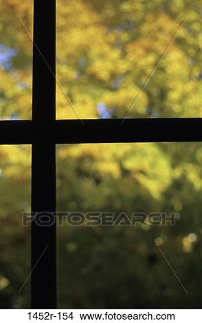 tree, glass, window, architecture, view, protection View Large Photo Image Picture - tree, glass, window, architecture, view, protection. Fotosearch