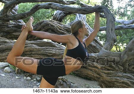 tree, woman, stretching, health, outdoors, sports View Large Photo Image Stock Image - tree, woman, stretching, health, outdoors, sports. Fotosearch
