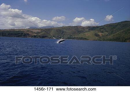 water, jump, sea, jumping, humpback, land View Large Photo Image Stock Image - water, jump, sea, jumping, humpback, land. Fotosearch