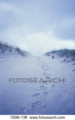 beach, path, mysterious, still life, footprints, dune View Large Photo Image Stock Photograph - beach, path, mysterious, still life, footprints, dune. Fotosearch