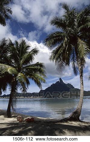 Bora Bora, French Polynesia View Large Photo Image Stock Image - Bora Bora, French Polynesia. Fotosearch